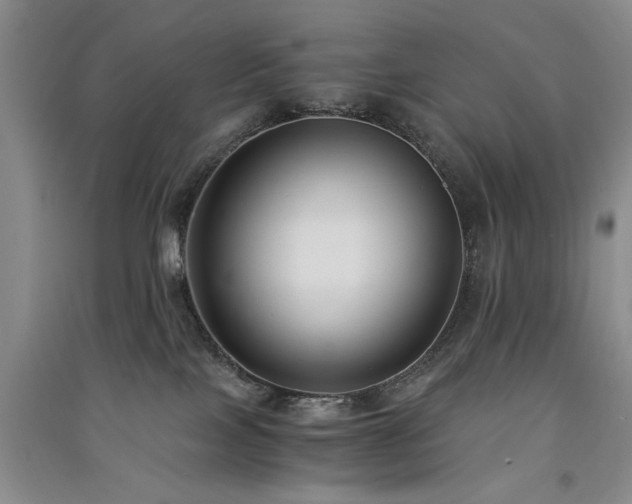 X0000091520089200708171225