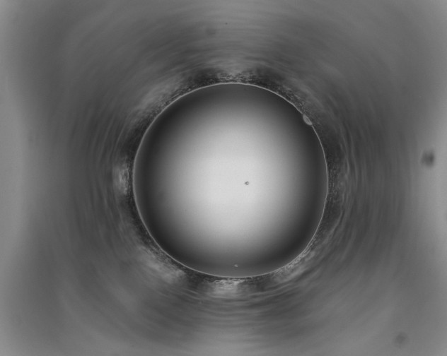 X0000091520090200708171225