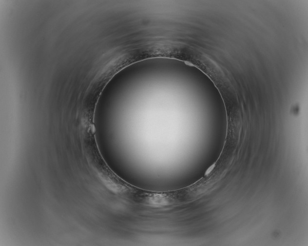 X0000091520091200708171225