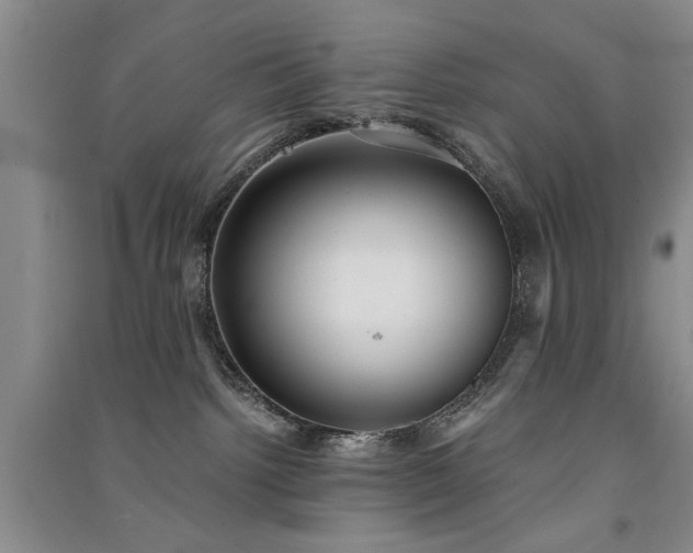 X0000091520092200708171225