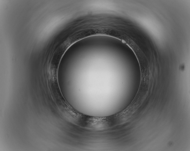 X0000091520093200708171225