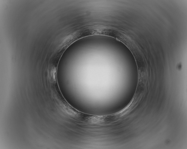 X0000091520094200708171225