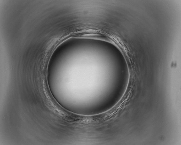 X0000091520097200708171224