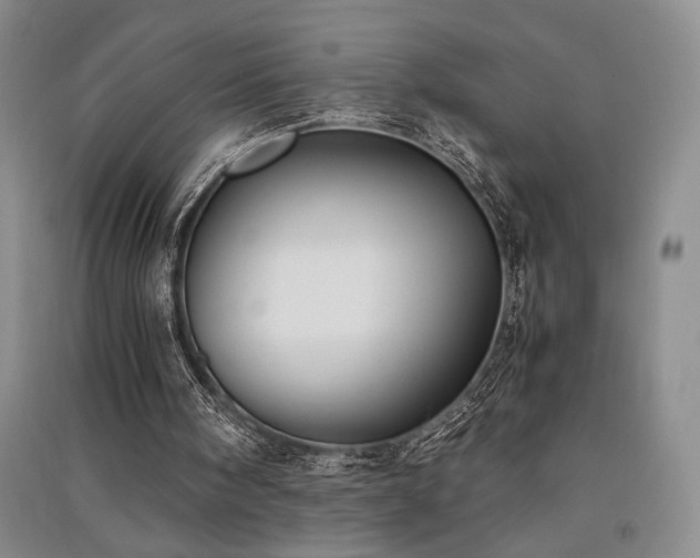 X0000091520098200708171224