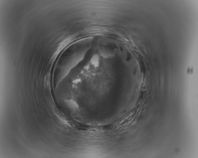 X0000091520099200708171224