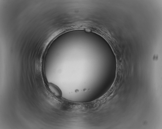 X0000091520100200708171224