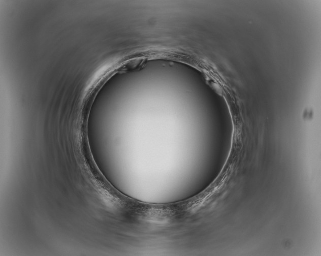 X0000091520101200708171224