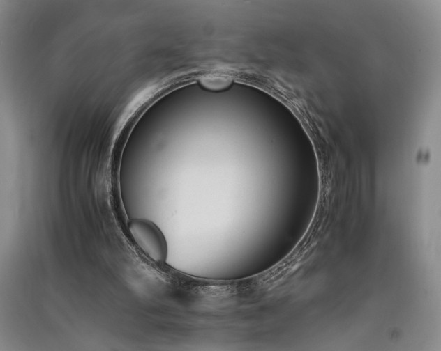 X0000091520102200708171224