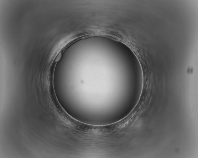 X0000091520103200708171224