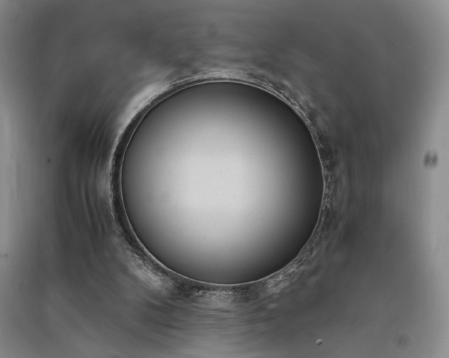 X0000091520104200708171224