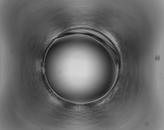 X0000091520105200708171224
