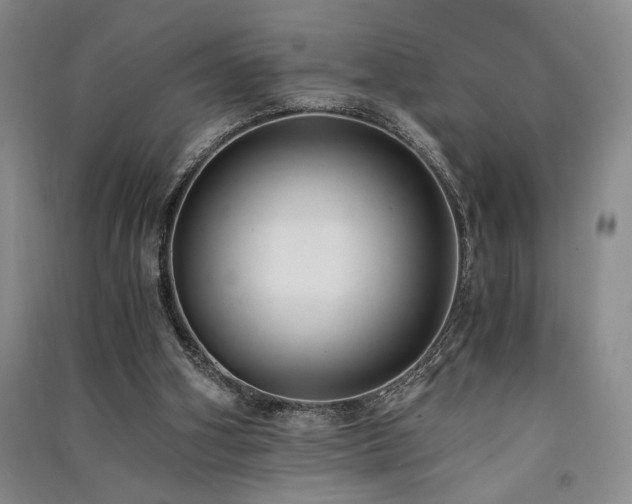 X0000091520106200708171224