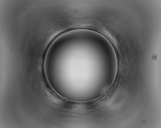 X0000091520107200708171224