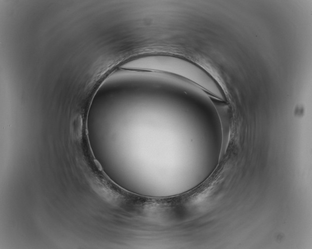 X0000091520109200708171224