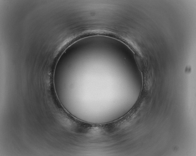 X0000091520111200708171224