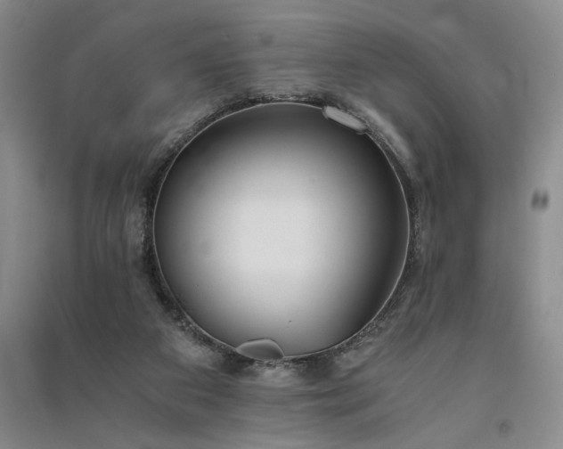 X0000091520113200708171224