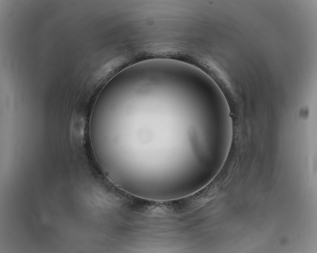 X0000091520115200708171224