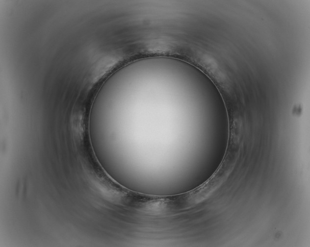 X0000091520116200708171224