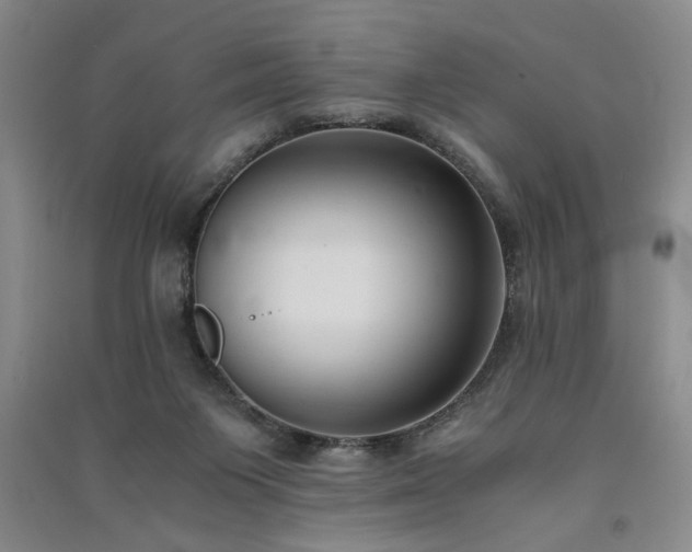 X0000091520119200708171224