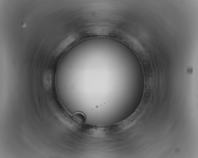 X0000091520120200708171224
