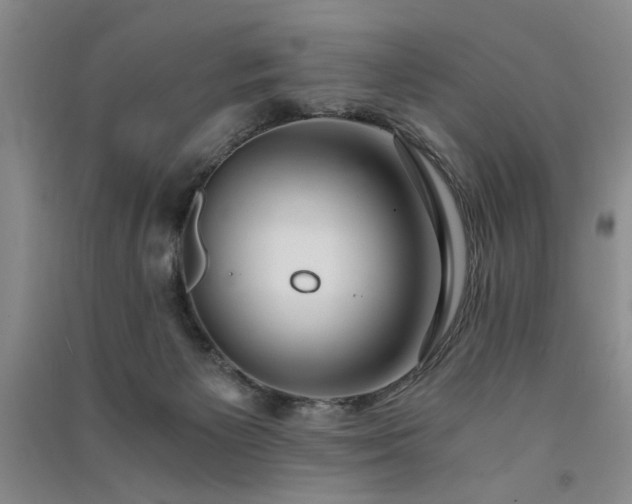 X0000091520125200708171224