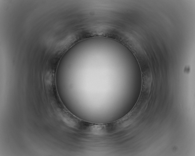 X0000091520126200708171224