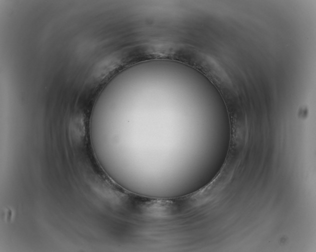 X0000091520128200708171224