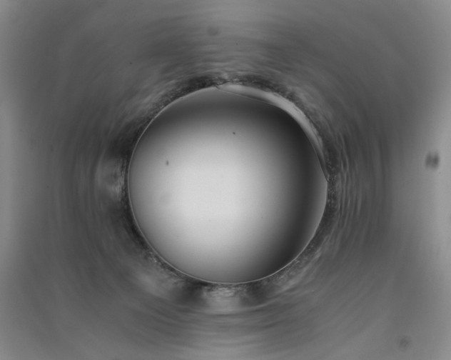 X0000091520129200708171224