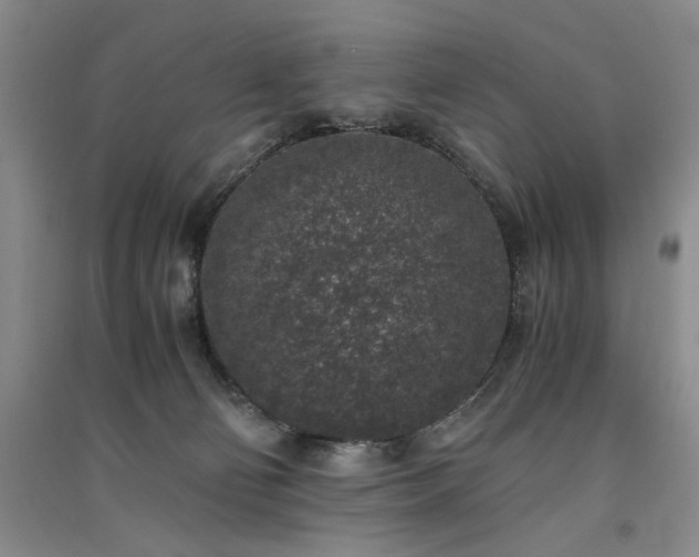 X0000091520130200708171224