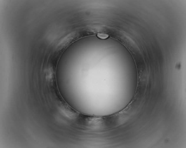 X0000091520132200708171224