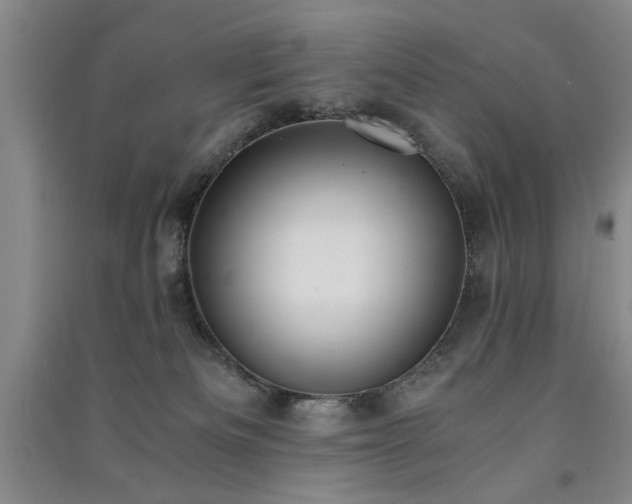 X0000091520133200708171224