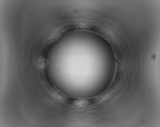 X0000091520135200708171224