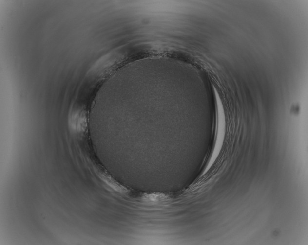 X0000091520137200708171224