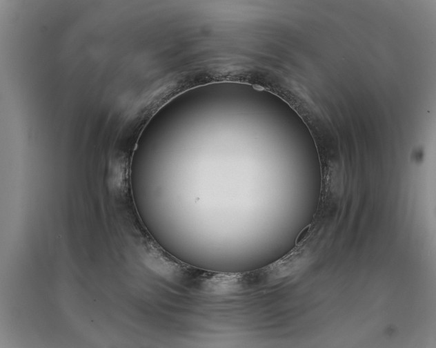 X0000091520138200708171224