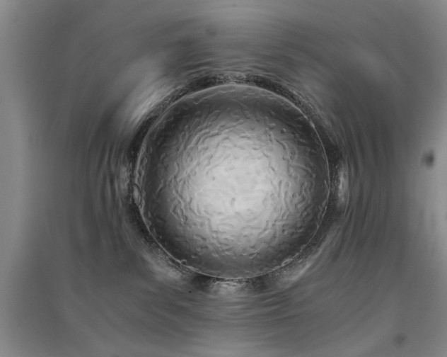 X0000091520139200708171224