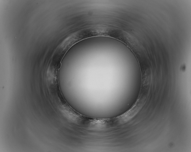 X0000091520140200708171224