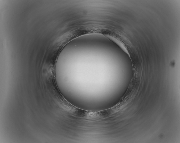 X0000091520141200708171224