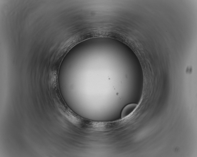 X0000091520144200708171224