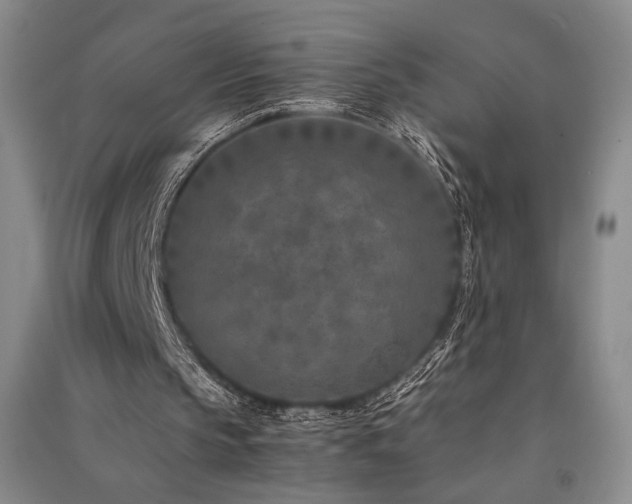X0000091520145200708171223