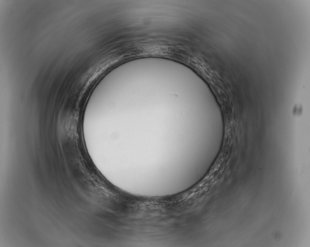 X0000091520146200708171223