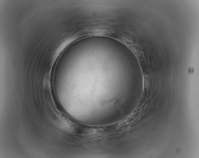 X0000091520147200708171223