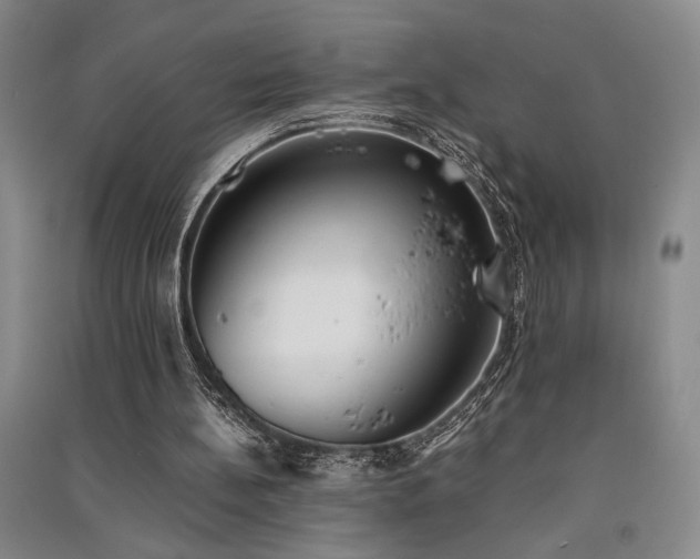 X0000091520148200708171223