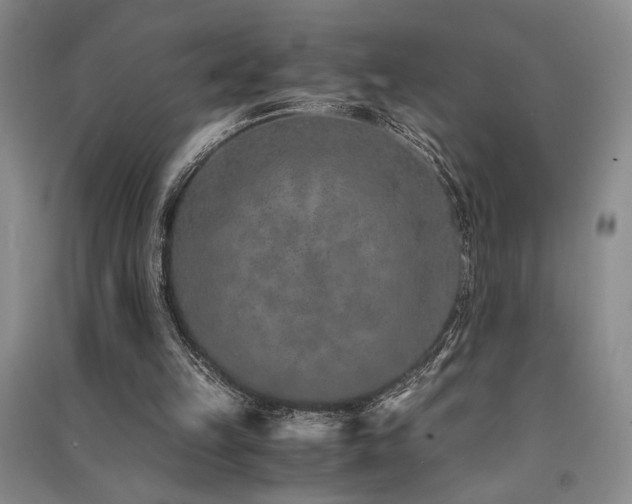 X0000091520149200708171223