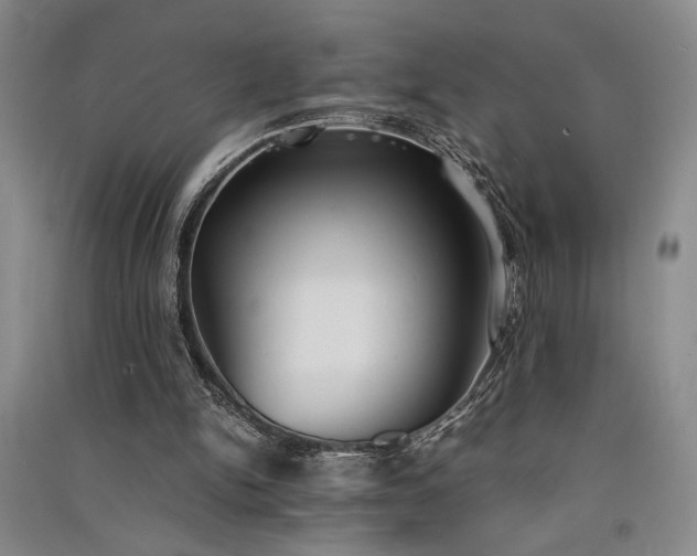 X0000091520150200708171223