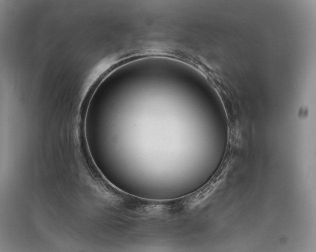 X0000091520152200708171223