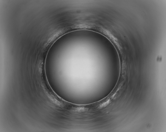 X0000091520153200708171223