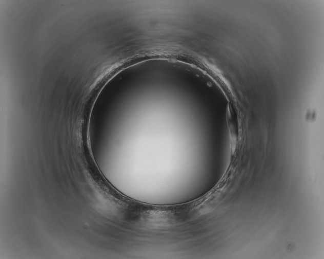 X0000091520154200708171223