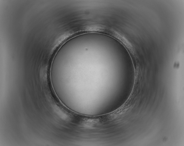 X0000091520155200708171223
