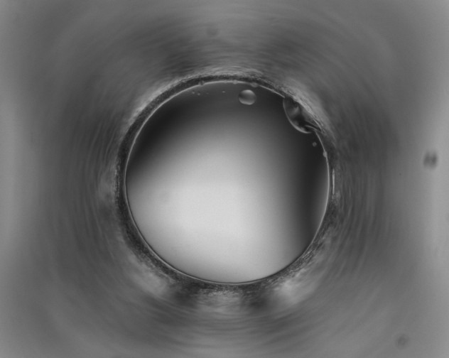 X0000091520156200708171223