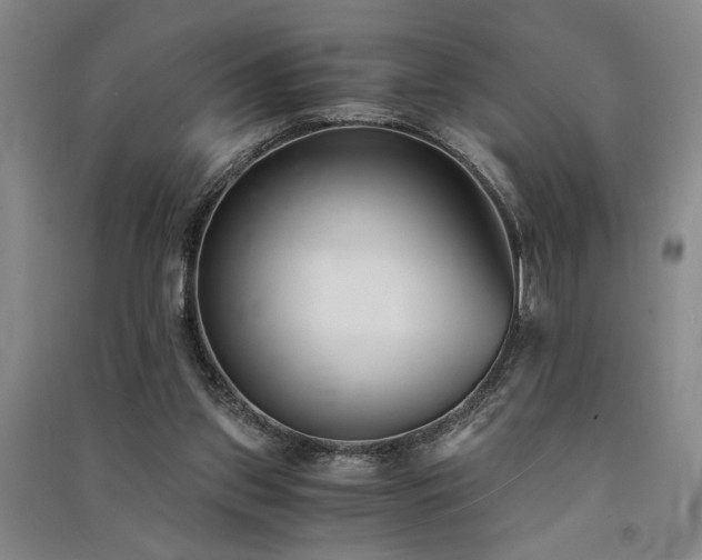 X0000091520157200708171223